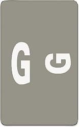 Smead AlphaZ ACCS Color-Coded Alphabetic Label, G, Gray, 100 Labels per Pack (67177)