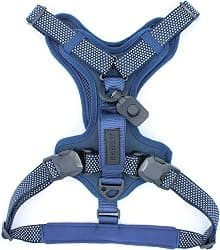 HOOZA: Magnetic Quick Clip: Control Harness - Blue, Large