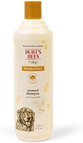 Burt's Bees for Pets Manuka Honey Oatmeal Shampoo for Dogs, Colloidal Oatmeal & Coconut Oil, 95%+ Natural Origin, No Sulfates, Parabens or Phthalates, Milk & Honey Scent, 16 Fl Oz