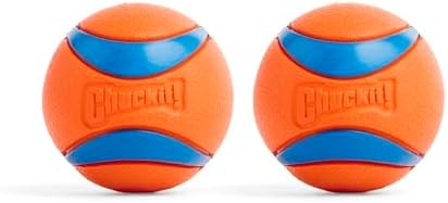 Chuckit! Ultra Ball Dog Toy - Medium Bouncy Fetch Balls For Dogs 20-60 lbs - Made from Durable Rubber - Floating Water Pet Toys - Size Medium - 2.5-inch Diameter - Pack of 2