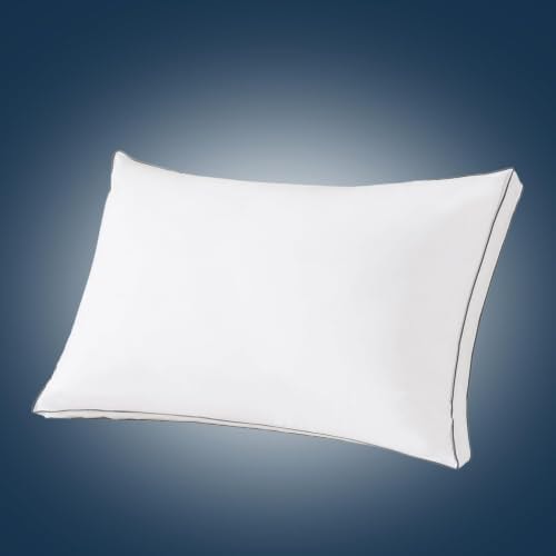SHOUREN Goose Down Pillows Queen Set of 1, Pillow with Gusseted, 18 * 28"