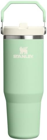 STANLEY IceFlow 2.0 Flip Straw Tumbler, 30 oz, Pistachio