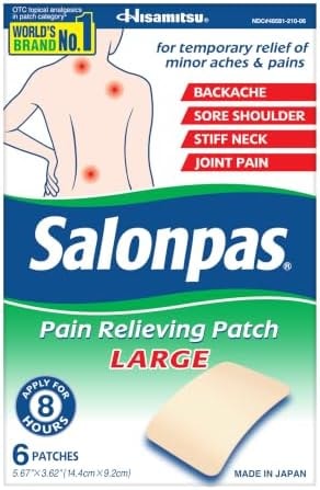 Salonpas Pain Relieving Patch, Large, 6 Count (Pack of 1)