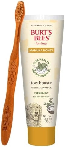 Burt's Bees Manuka Honey Fresh Mint Dog Dental Kit, 2.5 Oz
