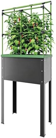 BioGreen Raised Garden Bed with Trellis Heidelberg | 11 gal | 1“L x 2.3“W x 7.6“H | Self-Watering Metal Planter Box | Ideal Growth for Climbing Plants