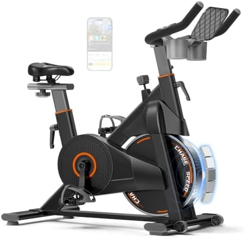 CURSOR Exercise Bike, Magnetic Friction Stationary Bikes for Home with APP