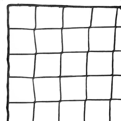 Wiseek Soccer Backstop Net, 10x10ft High Impact Soccer Barrier Net, Nylon Sport Netting Barrier Soccer Netting, Soccer Rebounder Behind Goal(Installation Rope Included), Black