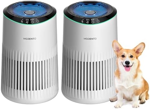Air Purifiers for Bedroom Home for Smoke Pet Dander Odors 2 Pack Ivory