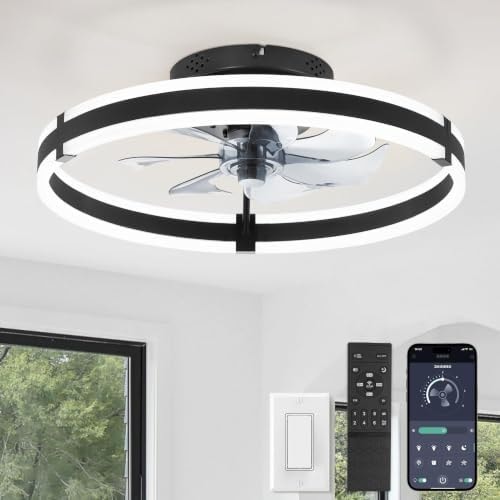 ZMISHIBO Low Profile 19.7'' Ceiling Fans with Lights and Remote, Black