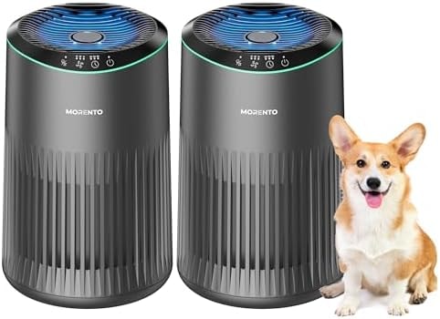 Air Purifiers for Bedroom Home for Smoke Pet Dander Odors 2 Pack Grey