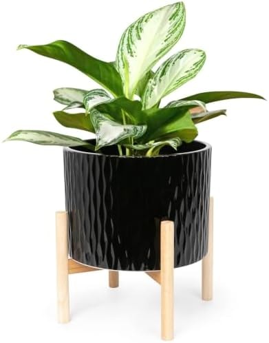 LaDoVita Ceramic Plant Pot with Stand, 10 Inch Planter with Wood Shelf, Modern Round Flower Pots Indoor with Wood Planter Holder, Black Water Ripple Pattern
