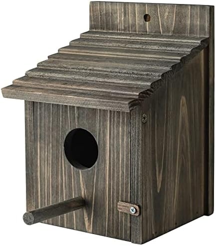 CLACKIBUKVYZ Royal Blue Wooden Birdhouse with Perch, Easy Clean