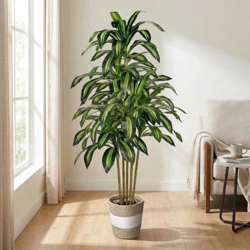 LuceAlberi 5FT Artificial Dracaena Fake Tree with Planter, Build in Basket