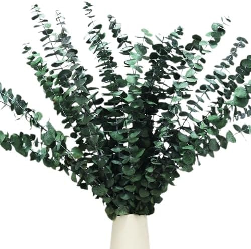 30 Pcs Real Dried Eucalyptus Stems, 17" Natural Fresh Branches for Shower