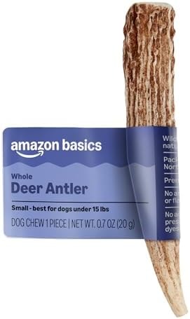 Amazon Basics Dog Deer Antler Chew, Naturally Shed. Whole, Small, Long Lasting for Aggressive Chewers, Best for Dogs Under 15 lbs, 4-5.5 inches (Previously Wag)