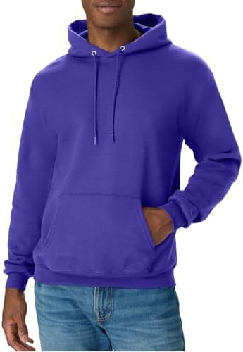 Hanes Men's Pullover EcoSmart Hooded Sweatshirt, purple, X Large