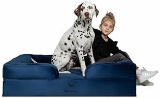 NOAH & PAW XL Dog Bed, 45x35x11 Inch, Orthopedic Large Dog Beds, Eggshell Memory Foam Infused with Cooling Gel, Inner Cover, Water Resistant, Machine Washable (Velvet Sofa Collection)