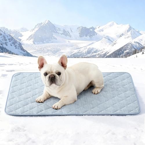 COZY KISS Dog Cooling Mat, Blue, 32"x44"