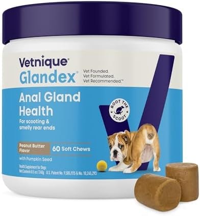 Vetnique Glandex for Dogs Anal Gland Chews 60ct Pumpkin + Digestive Enzymes
