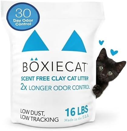 Boxie Unscented 30 Day Odor Control Clumping Clay Cat & Kitty Litter 16 lb, 99.9% Dust-Free, Hard Flat Top Clumps, No Fragrances No Fillers, Long-Lasting, Easy to Scoop