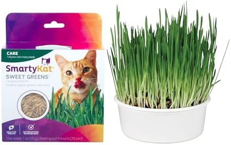 SmartyKat Sweet Greens Organic Oat Grass All-in-One Cat Grass Grow Kit, Easy-to-Grow to Support Digestion & Hairball Reduction