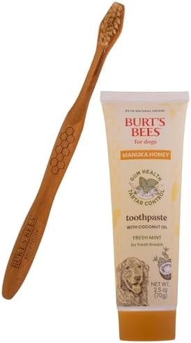 Burt's Bees for Pets Fresh Mint Dog Dental Kit with Bamboo Toothbrush & Dog Toothpaste, Manuka Honey & Coconut Oil for Gum Health, Tartar Control, 99.1% Natural Origin Formula, 2.5 Oz