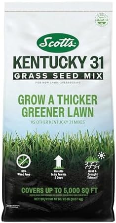 Scotts Kentucky 31 Grass Seed Mix, 20 lbs.