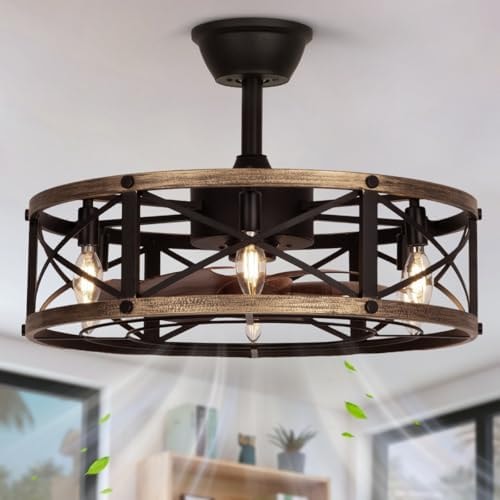 SHLUCE 22 Inch Farmhouse Fandelier Ceiling Fan with Light, ETL Listed