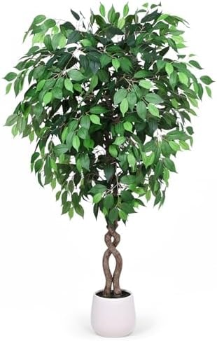 Jocoevol 5FT Artificial Ficus Tree, Tall Faux Trees Indoor with White Planter, Dried Moss, Natural Silk Leaves & Trunk, Fake Plants for Home Living Room Office Corner Decor Housewarming Gift