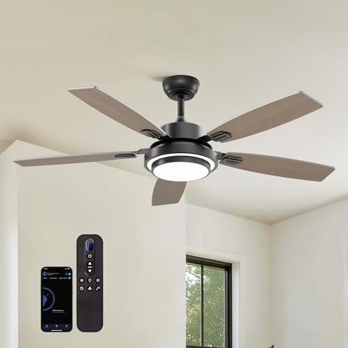Ceiling Fans with Lights and Remote Control, 52 Inch Black Ceiling Fan for Bedroom Living Room and Patio, Medium Modern Black Ceiling Fan for Indoor and Outdoor