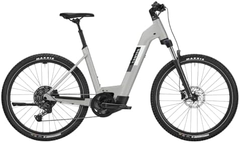 Canyon Pathlite:ON 4 SUV step-through, Stone Grey, Large