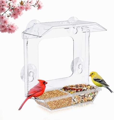 JICYOUP Window Bird Feeder with 4 Extra Strong Suction Cups (2.5 Inch)