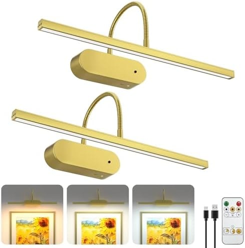 Bridika Rechargeable Picture Light for Wall Flexible Gooseneck, Gold 2 Pack