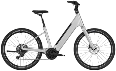 Canyon Precede:ON Comfort 5, Moon Silver, One Size