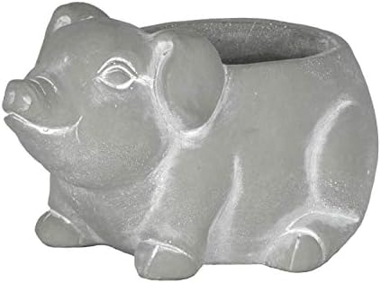 GROWSCAPE Cement Buddies Animal Planter - Cute Desk Decoration - UV Coated Animal Vase w/Removable Drain Plug -Succulent Planter for Indoor/Outdoor Use (Piglet Planter, Natural, Large)
