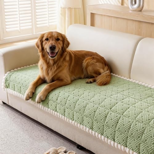 Eco-Ancheng Couch Cover for Dogs Pet Couch Cover for Sofa Washable Dog Sofa Covers Couch Protector for Cushion Fuzzy Non Slip Couch Slipcover with Elastic Straps for Pets, Dogs(Green,1 PC/27.6x59 in)
