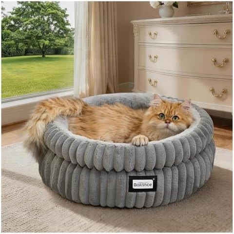 BALANCE Round Cat Beds for Indoor Cats, Small Dog Bed, Washable, 20in, Gray