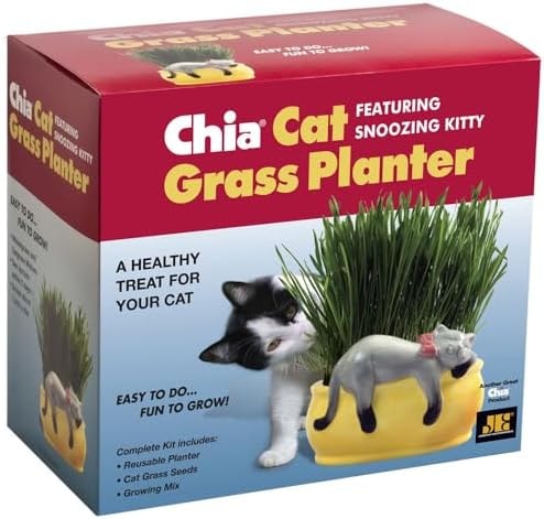 Chia Pet Kitty Cat Grass, Decorative Pottery Planter, Easy to Do and Fun to Grow, Novelty Gift, Perfect for Any Occasion
