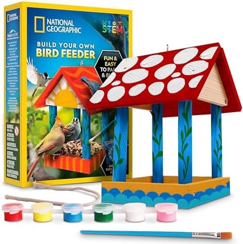 National Geographic Build Your Own Bird Feeder Craft Kit for Kids