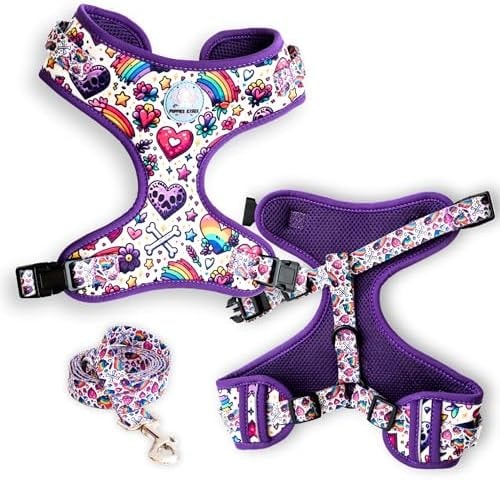 Puppies Kisses Online - Dog Harness and Leash Set - Small Dog Harness No Pull Step in Reflective Puppy Harness - Pet Leash and Vest - Purple and Pink Hearts (M)