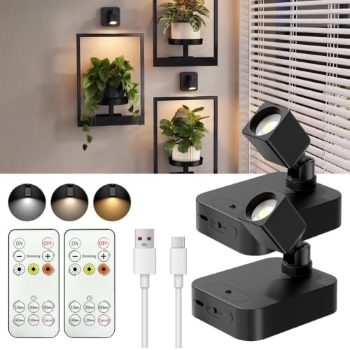 SZOKLED Rechargeable Picture Lights for Wall with Remote, 2 Pack