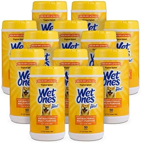 Wet Ones for Pets Antibacterial Dog Wipes, Tropical Splash, 50 Count, 12-Pk