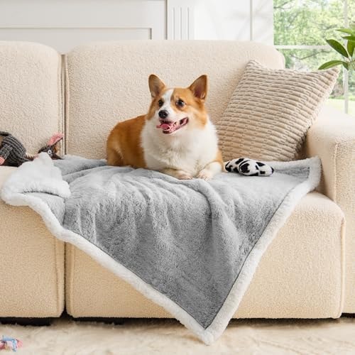 ChiXnuggle Waterproof Dog Blanket for Medium Dogs & Cats, Soft Pet Blanket
