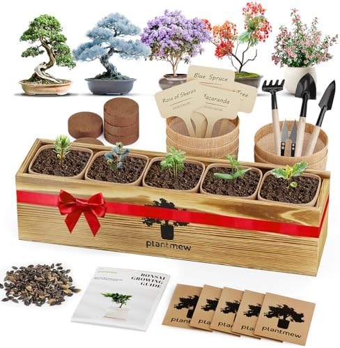 Bonsai Tree Kit for Beginners - 5 Unique Japanese Bonsai Seeds, DIY Indoor Gardening Crafts for Adults | Valentine's, Mother's Day & Birthday Gifts for Women and Men | Complete Starter Kit with Tools