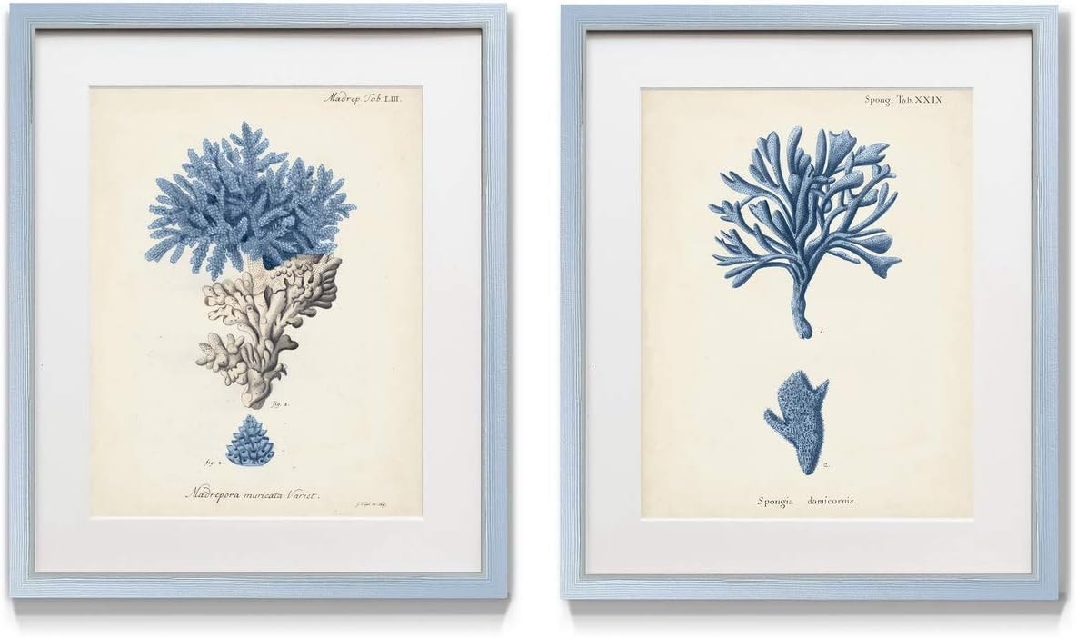 Renditions Gallery Antique Coral in Navy II 2 Piece Framed Artwork Set, Underwater Ocean Themed Pair, Blue, Modern Silver Frame, White Mat, Plexiglass, 16 In W X 20 In H, Made in America